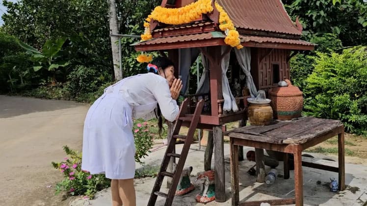 เลขเด็ด พิธีตัดต้นไม้อาถรรพ์